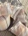 141317.webp