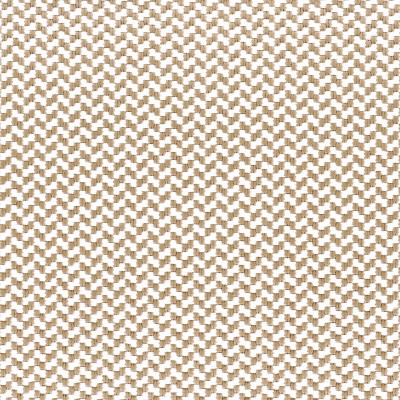CASAMANCE_46210101.jpg
