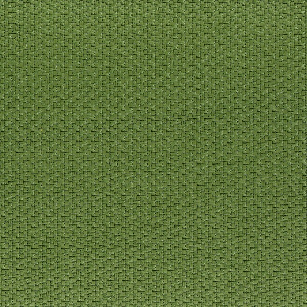 CASAMANCE_46210606.jpg