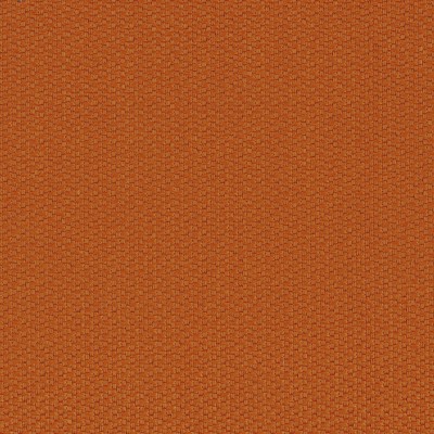 CASAMANCE_46210808.jpg