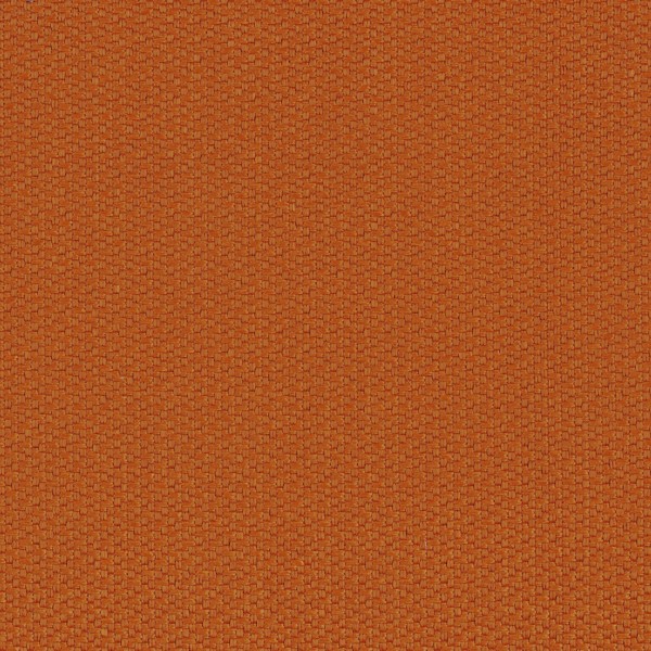 CASAMANCE_46210808.jpg