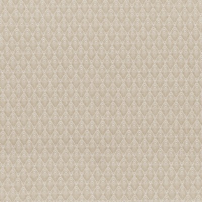 CASAMANCE_38320187.jpg