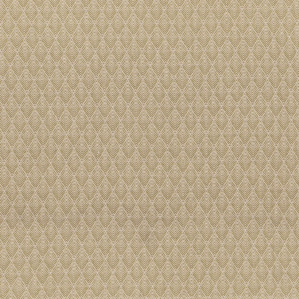 CASAMANCE_38320214.jpg