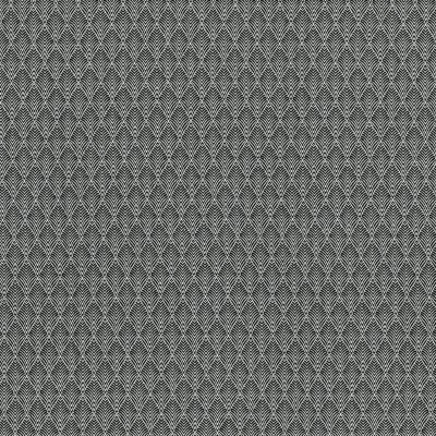 CASAMANCE_38320352.jpg