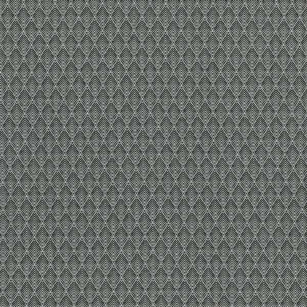 CASAMANCE_38320352.jpg