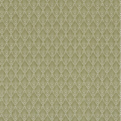 CASAMANCE_38320939.jpg