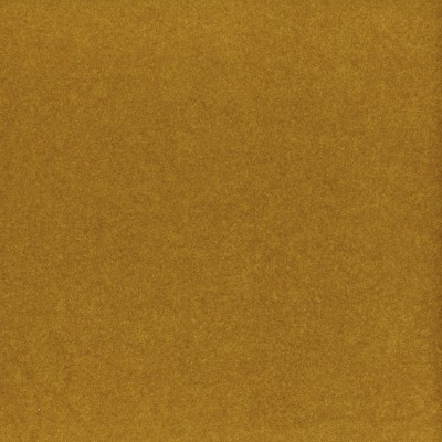 CASAMANCE_10931518.jpg