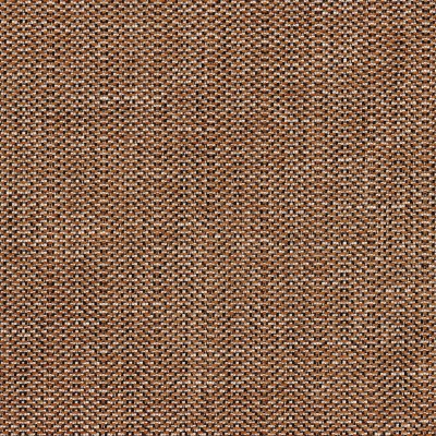 CASAMANCE_48590413.jpg
