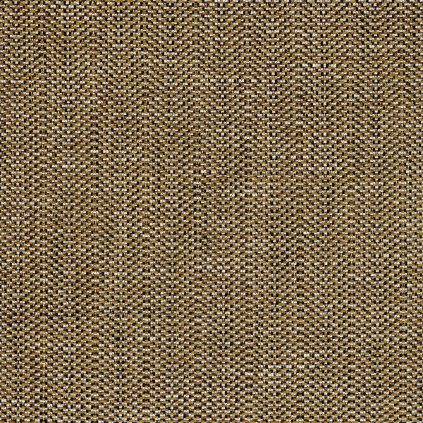 CASAMANCE_48590503.jpg