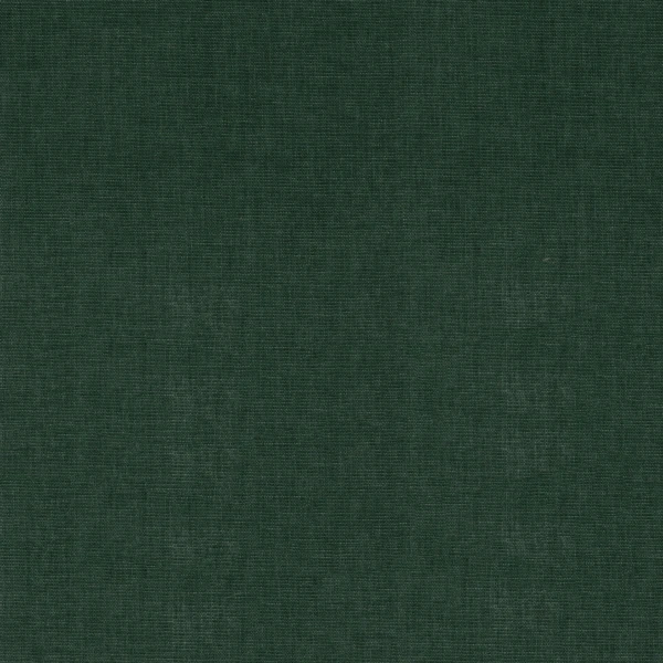 CASAMANCE_2523295.jpg