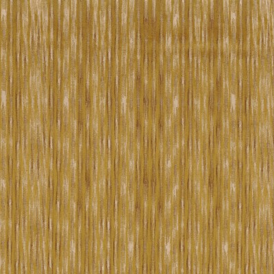 CASAMANCE_49800675.jpg