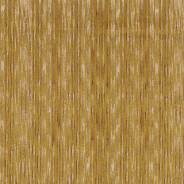CASAMANCE_49800675.jpg
