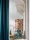 156442.webp
