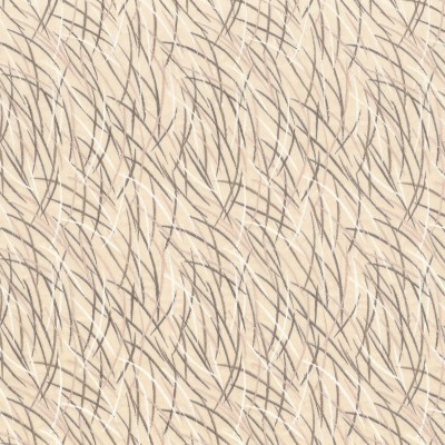 CASAMANCE_46060153.jpg