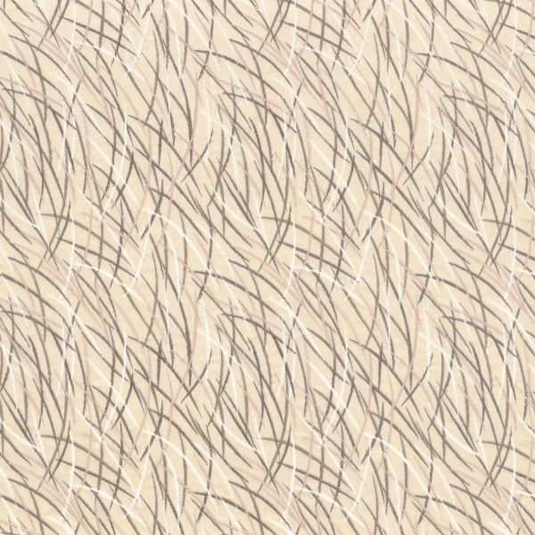CASAMANCE_46060153.jpg