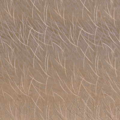 CASAMANCE_46060242.jpg