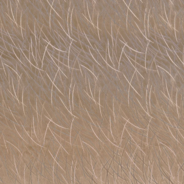 CASAMANCE_46060242.jpg