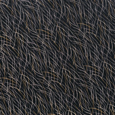 CASAMANCE_46060334.jpg