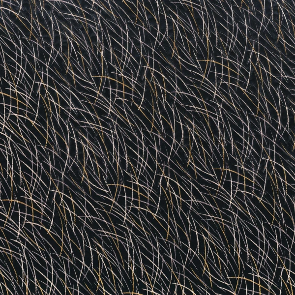 CASAMANCE_46060334.jpg