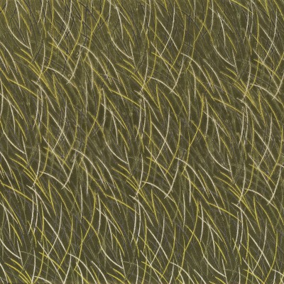 CASAMANCE_46060412.jpg