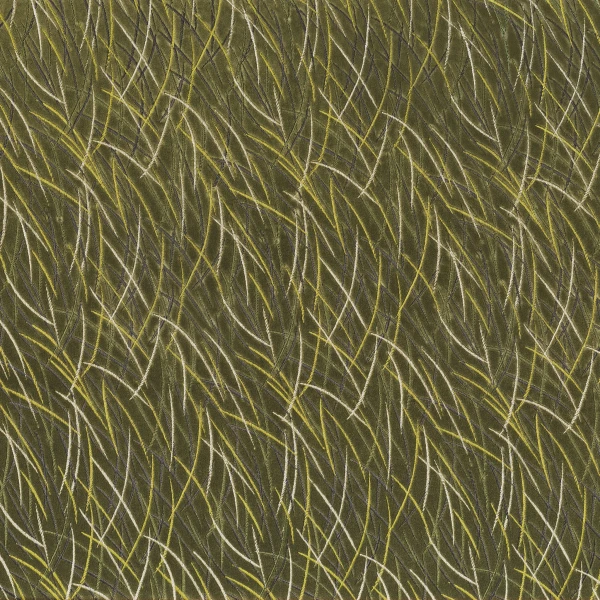 CASAMANCE_46060412.jpg