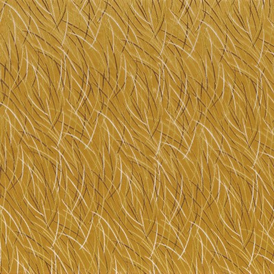 CASAMANCE_46060523.jpg