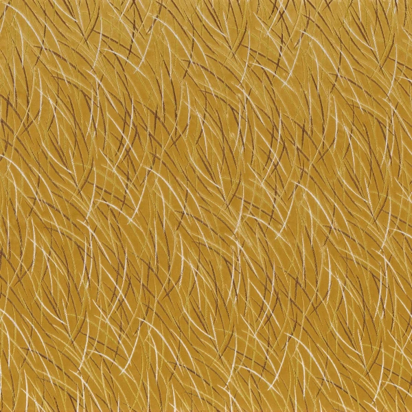 CASAMANCE_46060523.jpg