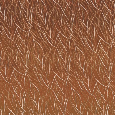 CASAMANCE_46060701.jpg