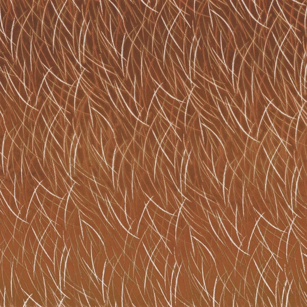CASAMANCE_46060701.jpg