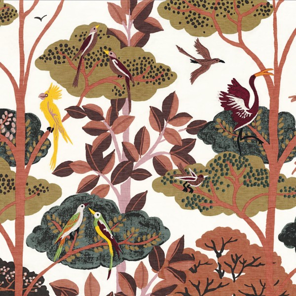 CASAMANCE_42750112 (1).jpg