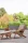 135511.webp