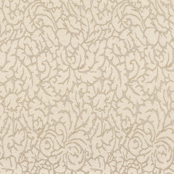 CASAMANCE_11540118.jpg