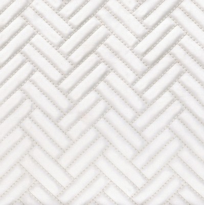 CASAMANCE_46260133.jpg