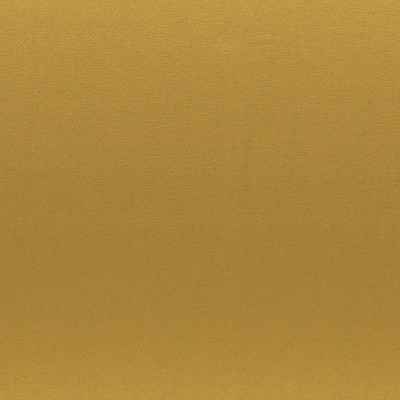 CASAMANCE_49613340.jpg