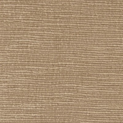 CASAMANCE_47501445.jpg