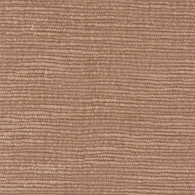 CASAMANCE_47501547.jpg
