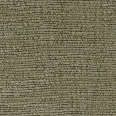 CASAMANCE_47501955.jpg