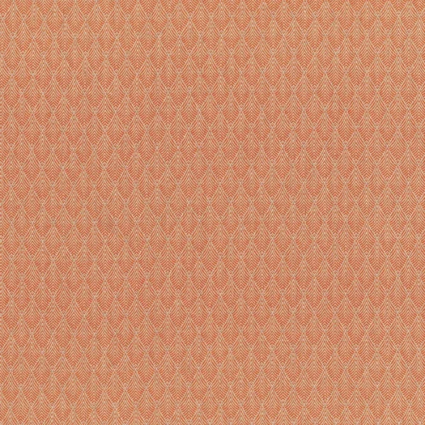49147.webp