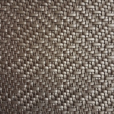 CASAMANCE_42370354.jpg