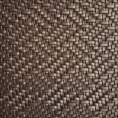CASAMANCE_42370511.jpg