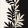 CASAMANCE_31550155.jpg