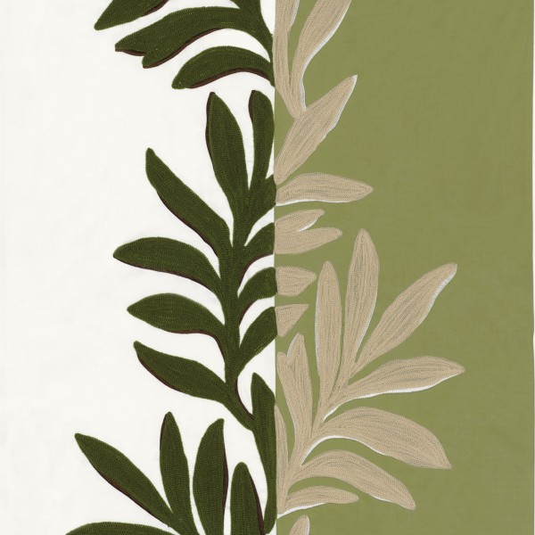 CASAMANCE_31550224.jpg