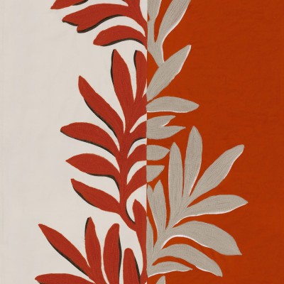 CASAMANCE_31550417.jpg