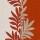 CASAMANCE_31550417.jpg