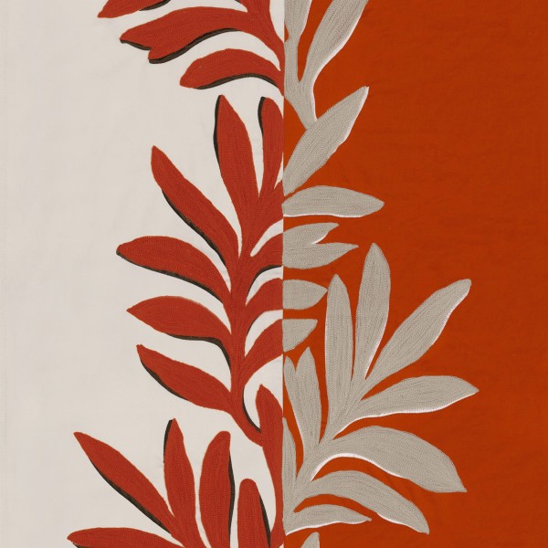 CASAMANCE_31550417.jpg