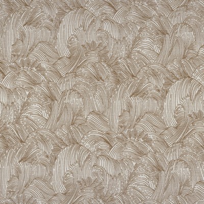 CASAMANCE_31680113.jpg