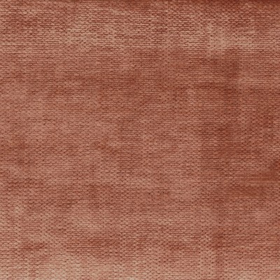 CASAMANCE_46381752.jpg