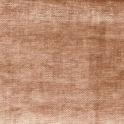 CASAMANCE_46381884.jpg