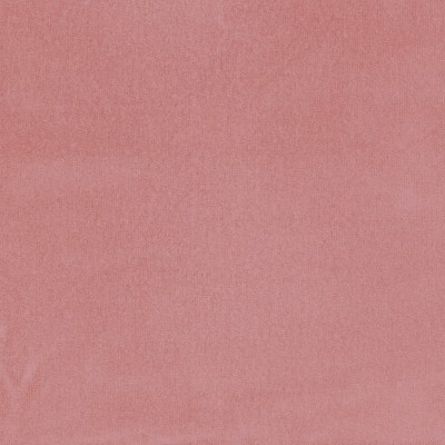 CASAMANCE_45783636.jpg