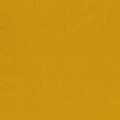 CASAMANCE_45785050.jpg